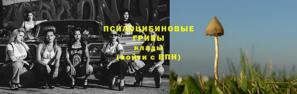 каннабис Арсеньев