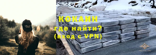 твердый Аркадак